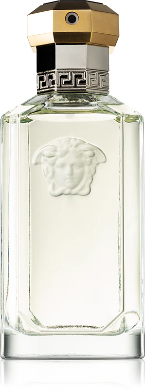 Versace The Dreamer Eau de Toilette pour homme